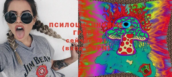 spice Новодвинск