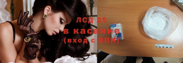 spice Новодвинск