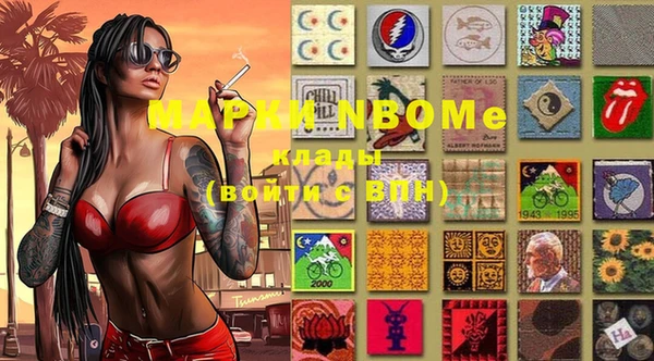 spice Новодвинск