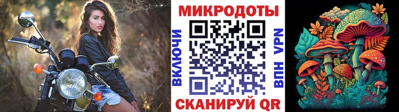 Псилоцибиновые грибы GOLDEN TEACHER  купить наркоту  Яранск 